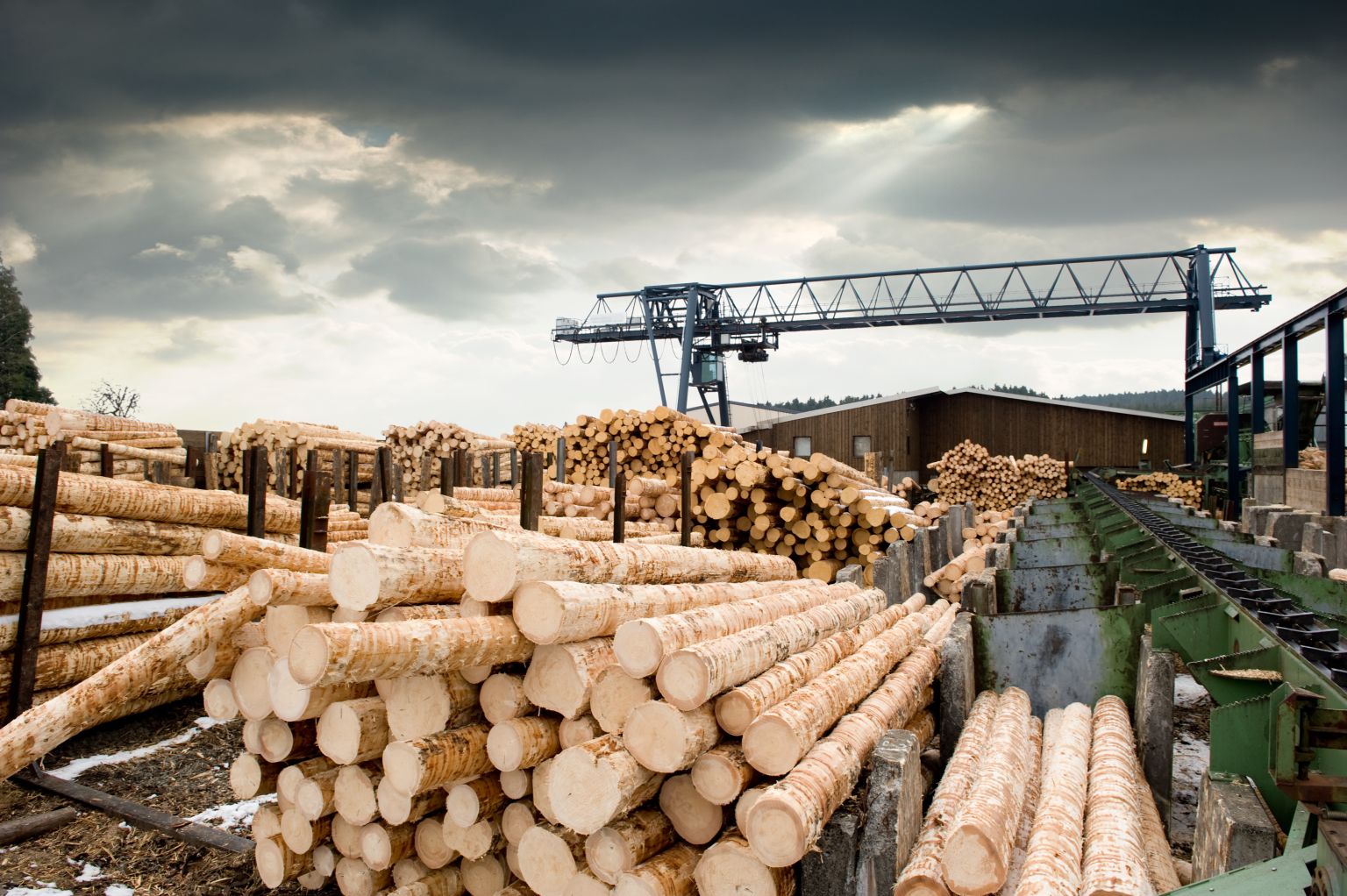 Holzindustrie mit großer Nachfrage bei stagnierenden Erträgen