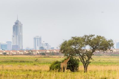 Strabag baut um 72 Millionen Euro Thiba-Damm in Kenia
